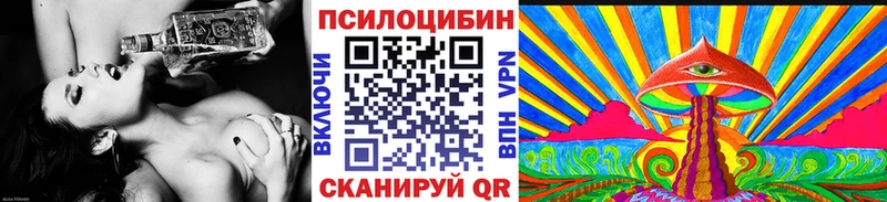 Псилоцибиновые грибы Psilocybe  Кисловодск 